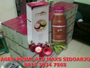 agen resmi ace maxs sidoarjo