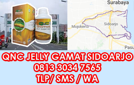 qnc jelly gamat di sidoarjo